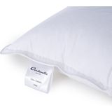 Cinderella New Classic Firm Hoofdkussen Stevig Polyester Vulling Katoenen Tijk