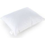 Cinderella Classic Hoofdkussens - Set van 2 - Medium Stevig - Polyester Vulling - Katoenen Tijk - 60x70 cm