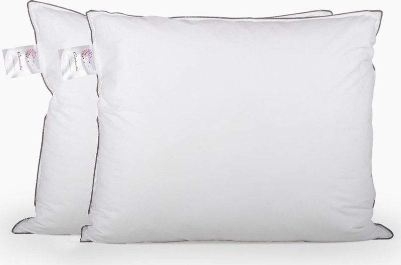 Cinderella Classic Hoofdkussens - Set van 2 - Medium Stevig - Polyester Vulling - Katoenen Tijk - 60x70 cm