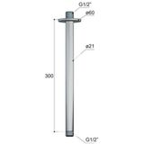Hotbath archie douchearm plafondaansluiting 30 cm rond rvs 316 ar453ix