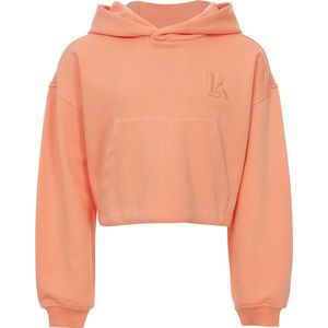 LOOXS 10sixteen 2401-5317-237 Meisjes Sweater - Oranje van 87 Cotton 13 Polyester