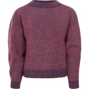 Paw Patrol Hologram Sweater - Maat 98/104 - Katoen - Roze - Meisjes