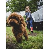 LOOXS Little - T-Shirt - Blauw - 100% Cotton