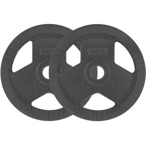 RYZOR Halterschijven set van 2 x 20  kg - Gewichtschijven - Bumper plates - Bankdrukken - Halterset – Halterschijf 20 kg - Gewichten set voor halterstangen - Geschikt voor Olympische halterstang met diameter 50 mm - Gietijzer - Grijs