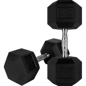 RYZOR Dumbell set van 2 x 20 kg - Hexagon halterset - Dumbells 20 kg - Halterset - Halter gewichten - Gewichten - Gewichten set - Vaste dumbells - Halters en gewichten - Fitness en Training - Dumbbellsets - Krachtbenodigdheden - Rubber en staal