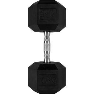 RYZOR Dumbell van 20 kg - Hexagon halter - Dumbells 20 kg - Halters - Halter gewichten - Gewichten - Vaste dumbells - Halters en gewichten - Fitness en Training - Krachtbenodigdheden - Rubber en staal - Zilver en zwart