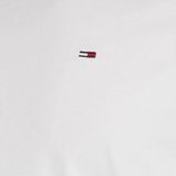 Tommy Jeans  OFLEKI  Shirts  heren Blauw