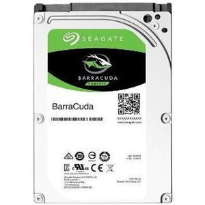 Seagate - Harde schijf - Zilver - 1000 GB