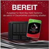 Seagate IronWolf - Interne Harde Schijf - 12 TB - 3.5 Inch
