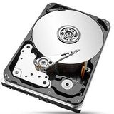 Seagate Enterprise ST12000NM000J interne harde schijf 12 TB 7200 RPM 256 MB 3.5" SATA III