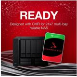 Seagate IronWolf Pro (Luft) 4 TB interne HDD-NAS-Festplatte