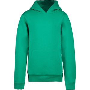 Cars Jeans Kimar Hood SW Kids Hoodie - Green