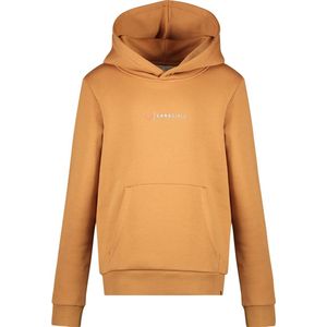 Cars Jeans Kids NOEMI SW Hood Meisjes Trui
