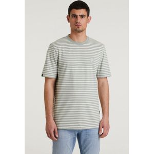 CHASIN' - Heren Regular Fit - T-Shirt Afdrukken - Shore - Midden Groen