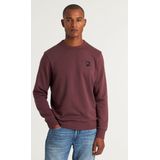 CHASIN' Heren Zwemkleding - Soll - Lichtgroen