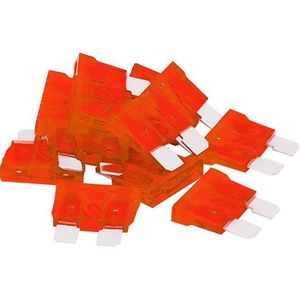 steekzekering 10A - 10 stuks