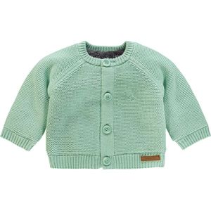 Noppies Baby Vestje Teddy Voering Grey Mint
