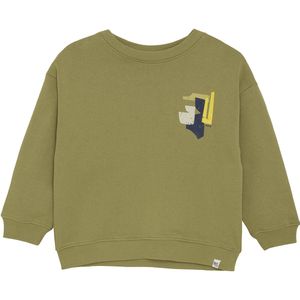 Noppies - Trui Ray - Dried Herb - Jongens Sweater - Rugprint