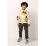 Noppies - Trui Roseland - Floral Pattern - Pink - Jongens Sweater