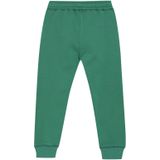 Noppies - Broek Robinson - Bosphorus - Regular Fit