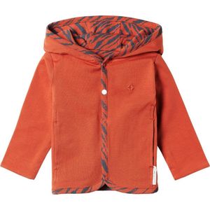 Noppies Capuchonvest Amagu - aan 2 zijden draagbaar