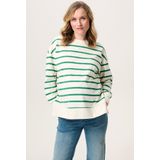 Noppies - Pepe - Trui - Zacht - Zwangerschap