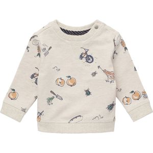 Noppies Trui Hermosillo Baby Maat 62