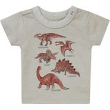 Noppies Baby Tee Momence T-shirt met korte mouwen voor jongens, Wilgengrijs - N044, 50 cm