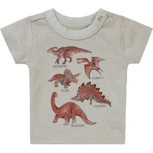 Noppies Baby Tee Momence T-shirt met korte mouwen voor jongens, Wilgengrijs - N044, 50 cm