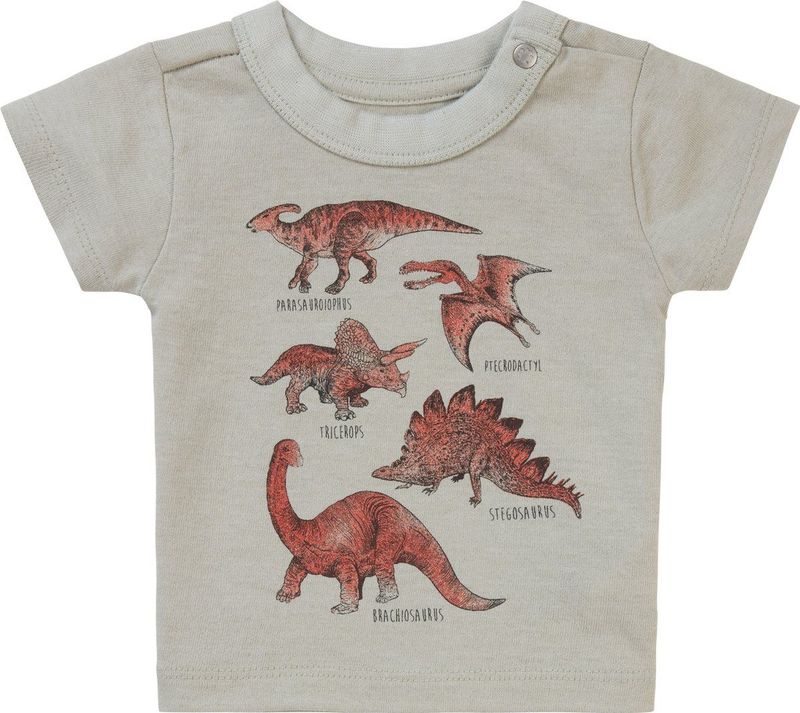 Noppies Baby Tee Momence T-shirt met korte mouwen voor jongens, Wilgengrijs - N044, 50 cm