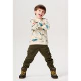 Noppies Sweater Hirson long sleeve allover print Jongens Trui