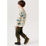 Noppies Sweater Hirson long sleeve allover print Jongens Trui