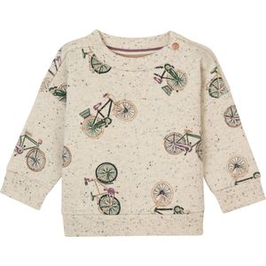 Noppies Sweater Garidech long sleeve allover print Jongens Trui - Maat 62