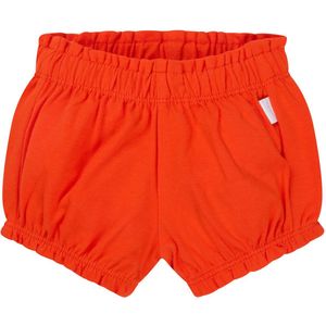 Noppies - Marinette - Korte Broek - Baby