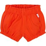 Noppies - Marinette - Korte Broek - Baby - Maat 62