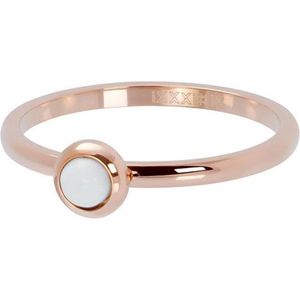 iXXXi - Vulring - Goud/Rosé/Zilver/Zwart - Edelstaal - Ronde Steen met Zirkonia