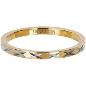 X Row - iXXXi - Vulring - Goud/Rosé/Zilver/Zwart - Edelstaal