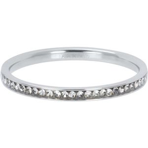 iXXXi Vulring Zirconia Crystal Zilver