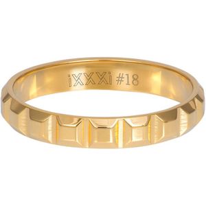 iXXXi Vulring Art Goud | Maat 15