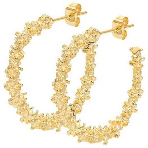 iXXXi Oorbellen Caviaar Goud