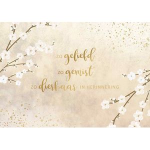 Kaart - Solace - Zo geliefd, zo gemist, zo dierbaar in herinnering - SOL020