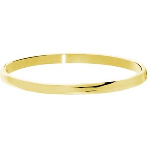 Lucardi Dames Armband bangle 5mm - Staal - Armband - Cadeau - Stijlvol - 58 mm - Goudkleurig