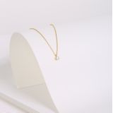 Lucardi - Dames Ketting - Goudkleurig - Echt Zilver - 45 cm