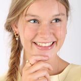 Lucardi - Dames Ring - Goudkleurig - 6mm - Echt Zilver - Met Zirkonia