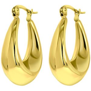Stalen goldplated oorringen voor dames