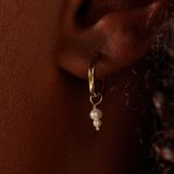 Lucardi - Oorringen - Goudkleurig - Goldplated met Zoetwaterparels