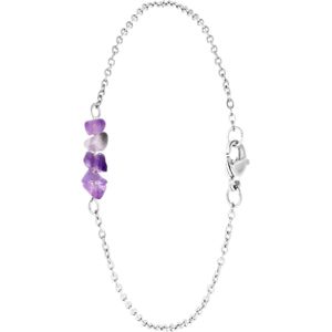 Lucardi Dames Armband met amethyst - Staal - Armband - Cadeau - 20 cm - Zilverkleurig