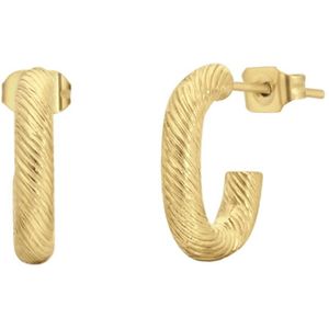 Stalen goldplated oorringen voor dames