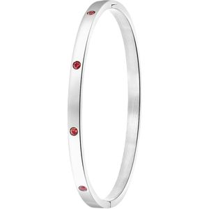 Lucardi Dames Armband bangle geboortestenen - Staal - Armband - Cadeau - Stijlvol - Zilverkleurig