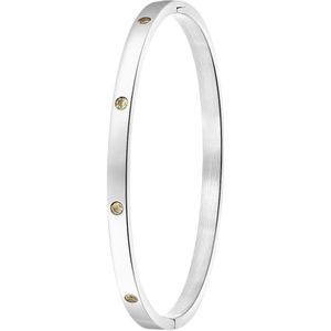 Lucardi Dames Armband bangle geboortestenen - Staal - Armband - Moederdag Cadeautje - Stijlvol - Zilverkleurig